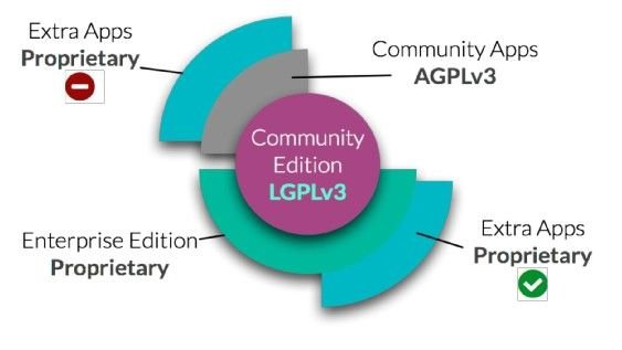 Odoo licence constraints
