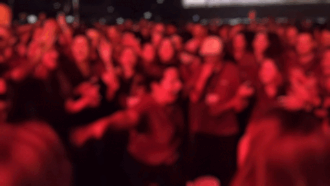 Odoo Experienceの夜のライブで盛り上がる参加者たち